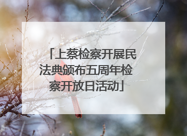 上蔡检察开展民法典颁布五周年检察开放日活动