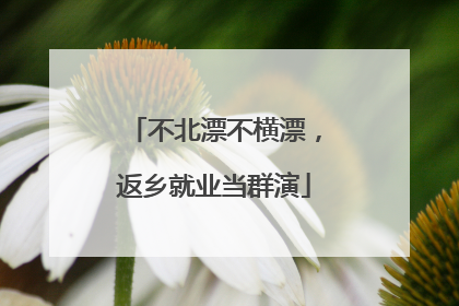 不北漂不横漂，返乡就业当群演
