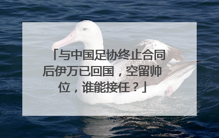 与中国足协终止合同后伊万已回国，空留帅位，谁能接任？