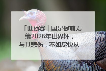 世预赛｜国足提前无缘2026年世界杯，与其悲伤，不如尽快从选帅开始重建