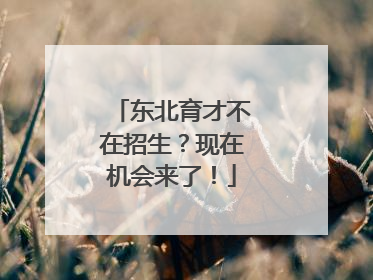 东北育才不在招生？现在机会来了！
