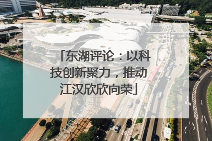 东湖评论：以科技创新聚力，推动江汉欣欣向荣