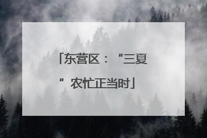 东营区：“三夏”农忙正当时