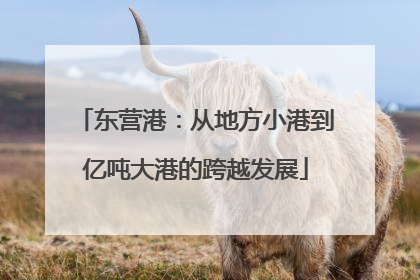 东营港：从地方小港到亿吨大港的跨越发展