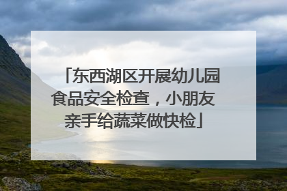 东西湖区开展幼儿园食品安全检查，小朋友亲手给蔬菜做快检