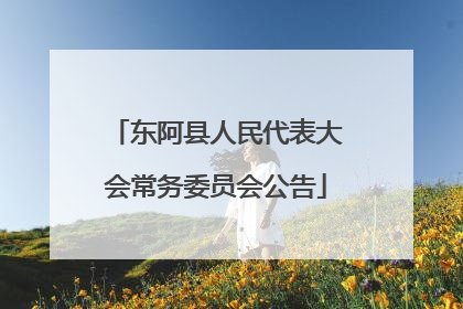 东阿县人民代表大会常务委员会公告