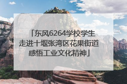 东风6264学校学生走进十堰张湾区花果街道感悟工业文化精神