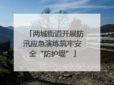 两城街道开展防汛应急演练筑牢安全“防护堤”