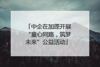 中企在加蓬开展“童心同路，筑梦未来”公益活动
