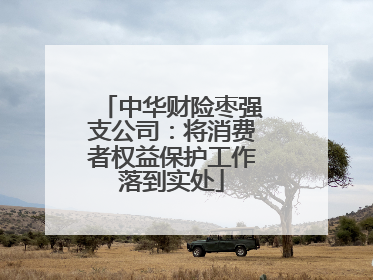中华财险枣强支公司：将消费者权益保护工作落到实处