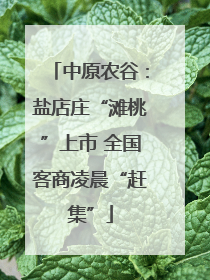 中原农谷：盐店庄“滩桃”上市 全国客商凌晨“赶集”