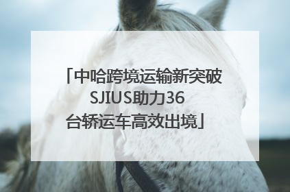 中哈跨境运输新突破 SJIUS助力36台轿运车高效出境