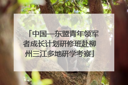 中国—东盟青年领军者成长计划研修班赴柳州三江多地研学考察