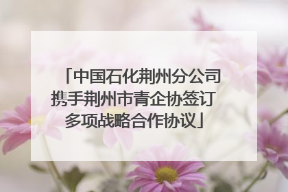中国石化荆州分公司携手荆州市青企协签订多项战略合作协议