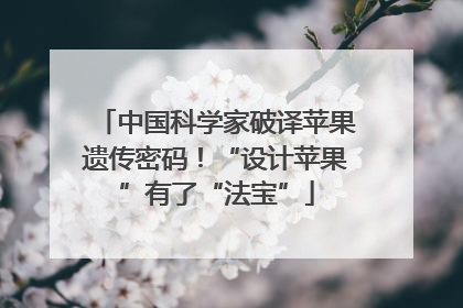 中国科学家破译苹果遗传密码！“设计苹果”有了“法宝”