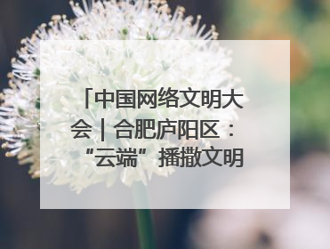 中国网络文明大会｜合肥庐阳区：“云端”播撒文明种子 共建清朗网络空间