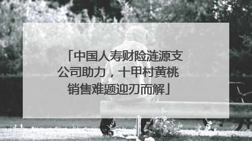 中国人寿财险涟源支公司助力，十甲村黄桃销售难题迎刃而解