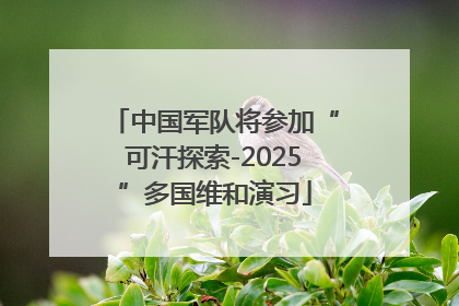 中国军队将参加“可汗探索-2025”多国维和演习