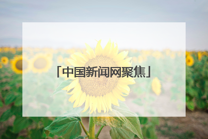 中国新闻网聚焦