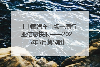 中国汽车市场一周行业信息快报——2025年5月第5期