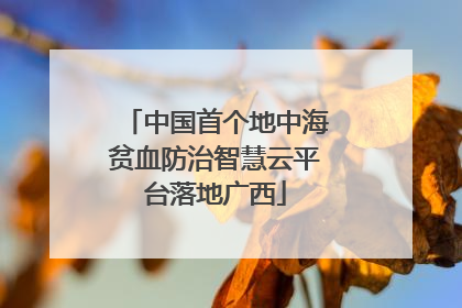 中国首个地中海贫血防治智慧云平台落地广西