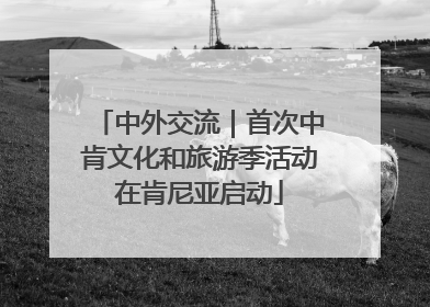 中外交流｜首次中肯文化和旅游季活动在肯尼亚启动