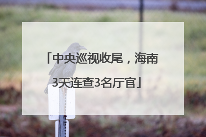 中央巡视收尾，海南3天连查3名厅官
