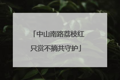 中山南路荔枝红 只赏不摘共守护