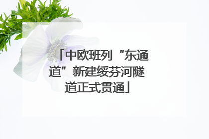 中欧班列“东通道”新建绥芬河隧道正式贯通