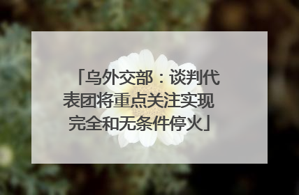乌外交部：谈判代表团将重点关注实现完全和无条件停火