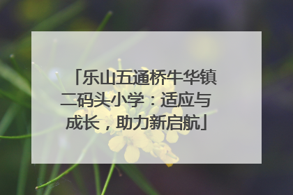 乐山五通桥牛华镇二码头小学：适应与成长，助力新启航