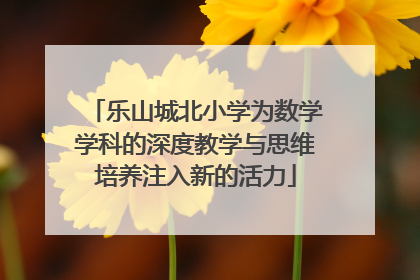 乐山城北小学为数学学科的深度教学与思维培养注入新的活力