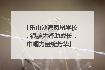 乐山沙湾凤凰学校：银龄先锋助成长，巾帼力量绽芳华