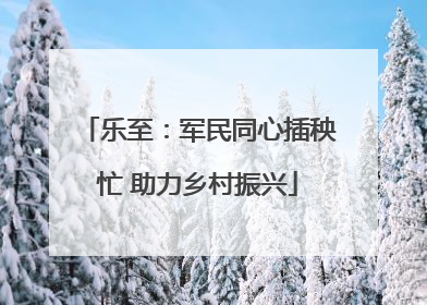 乐至：军民同心插秧忙 助力乡村振兴