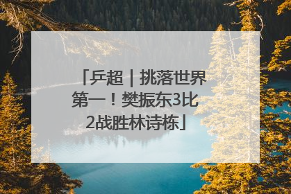乒超｜挑落世界第一！樊振东3比2战胜林诗栋