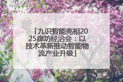 九识智能亮相2025廊坊经洽会：以技术革新推动智能物流产业升级