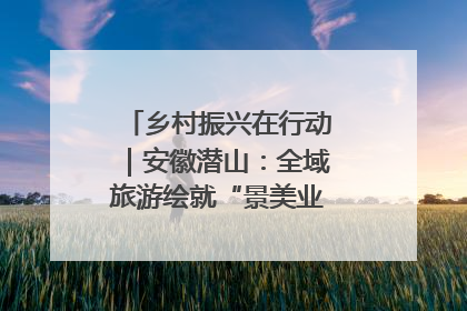 乡村振兴在行动｜安徽潜山：全域旅游绘就“景美业兴民富”新画卷