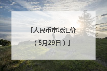 人民币市场汇价（5月29日）
