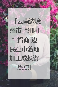 云南边境州市“组团”招商 边民互市落地加工成投资热点