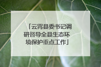 云霄县委书记调研督导全县生态环境保护重点工作