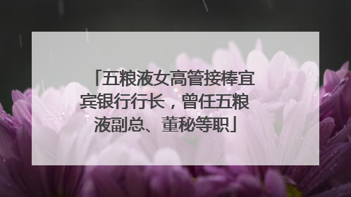五粮液女高管接棒宜宾银行行长，曾任五粮液副总、董秘等职
