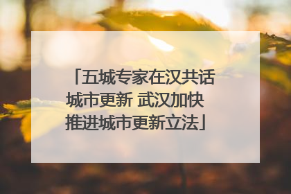 五城专家在汉共话城市更新 武汉加快推进城市更新立法