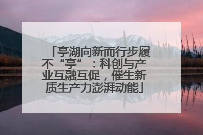 亭湖向新而行步履不“亭”：科创与产业互融互促，催生新质生产力澎湃动能