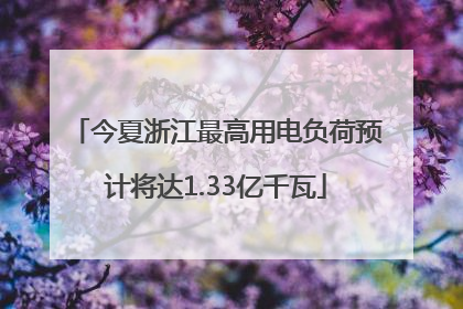 今夏浙江最高用电负荷预计将达1.33亿千瓦