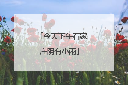 今天下午石家庄阴有小雨