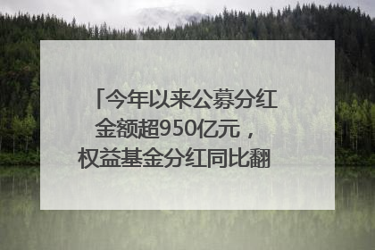 今年以来公募分红金额超950亿元，权益基金分红同比翻倍｜招财猫