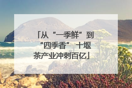 从“一季鲜”到“四季香” 十堰茶产业冲刺百亿