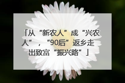 从“新农人”成“兴农人”，“90后”返乡走出致富“振兴路”