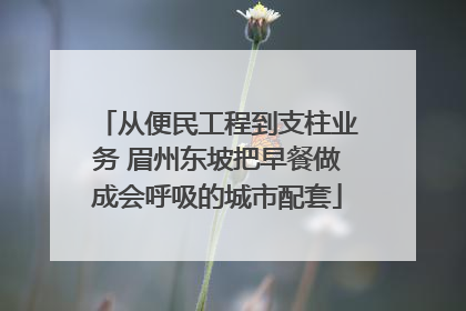 从便民工程到支柱业务 眉州东坡把早餐做成会呼吸的城市配套