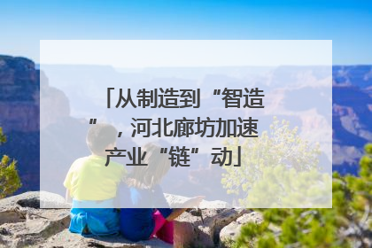 从制造到“智造”，河北廊坊加速产业“链”动
